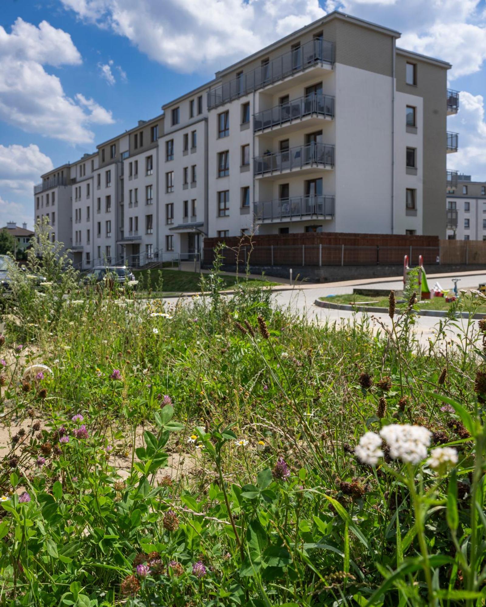 Apartament Wanessa Гданськ Екстер'єр фото